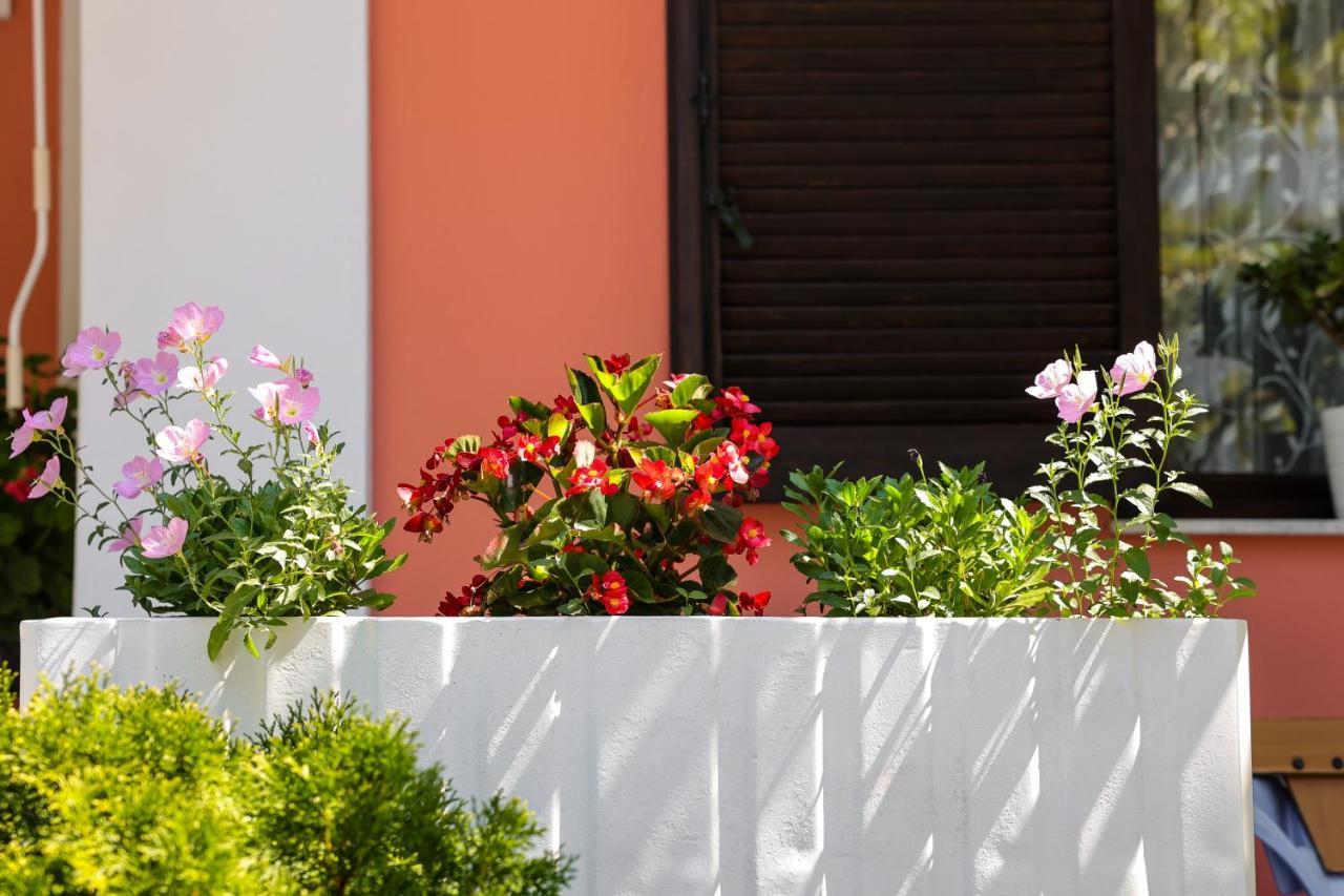 Villa Moras Paralía Exteriér fotografie